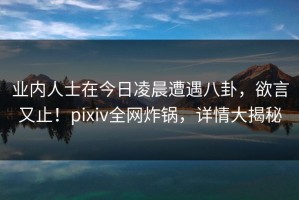 业内人士在今日凌晨遭遇八卦，欲言又止！pixiv全网炸锅，详情大揭秘