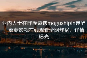 业内人士在昨晚遭遇mogushipin迷醉，蘑菇影视在线观看全网炸锅，详情曝光