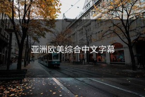 亚洲欧美综合中文字幕