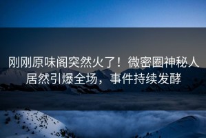 刚刚原味阁突然火了！微密圈神秘人居然引爆全场，事件持续发酵