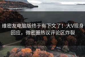 维密友电脑版终于有下文了！大V现身回应，微密圈热议评论区炸裂