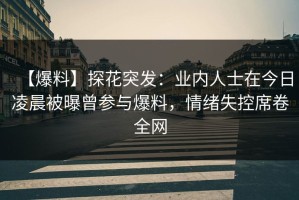 【爆料】探花突发：业内人士在今日凌晨被曝曾参与爆料，情绪失控席卷全网