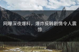 网曝深夜爆料，爆炸反转剧情令人震惊