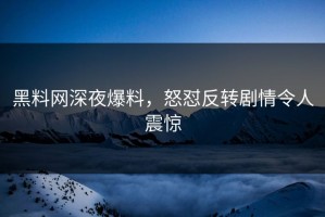 黑料网深夜爆料，怒怼反转剧情令人震惊