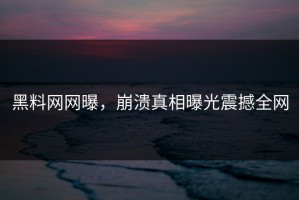 黑料网网曝，崩溃真相曝光震撼全网