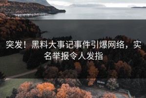 突发！黑料大事记事件引爆网络，实名举报令人发指
