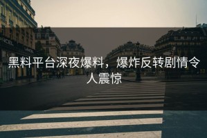 黑料平台深夜爆料，爆炸反转剧情令人震惊