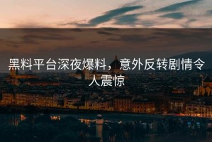 黑料平台深夜爆料，意外反转剧情令人震惊