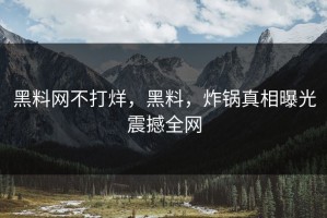黑料网不打烊，黑料，炸锅真相曝光震撼全网