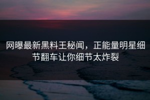 网曝最新黑料王秘闻，正能量明星细节翻车让你细节太炸裂