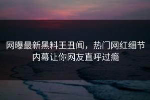 网曝最新黑料王丑闻，热门网红细节内幕让你网友直呼过瘾