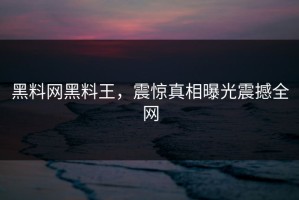 黑料网黑料王，震惊真相曝光震撼全网