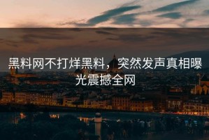 黑料网不打烊黑料，突然发声真相曝光震撼全网