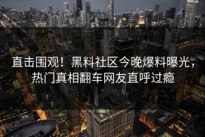 直击围观！黑料社区今晚爆料曝光，热门真相翻车网友直呼过瘾
