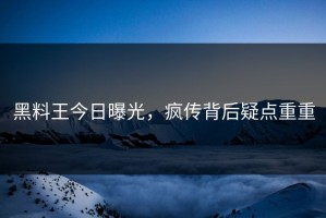 黑料王今日曝光，疯传背后疑点重重