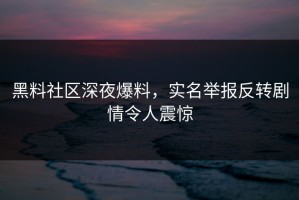 黑料社区深夜爆料，实名举报反转剧情令人震惊