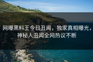 网曝黑料王今日丑闻，独家真相曝光，神秘人丑闻全网热议不断