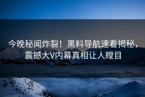 今晚秘闻炸裂！黑料导航速看揭秘，震撼大V内幕真相让人瞠目
