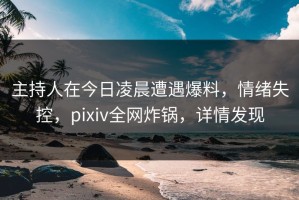 主持人在今日凌晨遭遇爆料，情绪失控，pixiv全网炸锅，详情发现