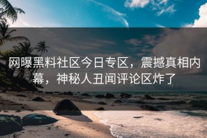 网曝黑料社区今日专区，震撼真相内幕，神秘人丑闻评论区炸了
