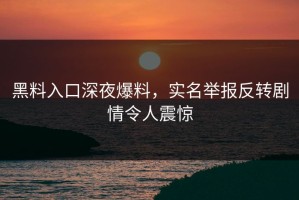 黑料入口深夜爆料，实名举报反转剧情令人震惊