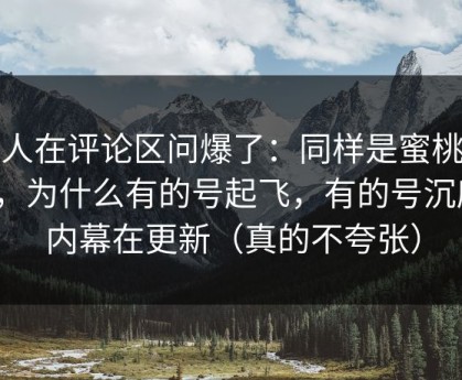 有人在评论区问爆了：同样是蜜桃传媒，为什么有的号起飞，有的号沉底？内幕在更新（真的不夸张）