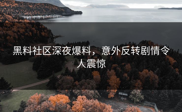 黑料社区深夜爆料，意外反转剧情令人震惊