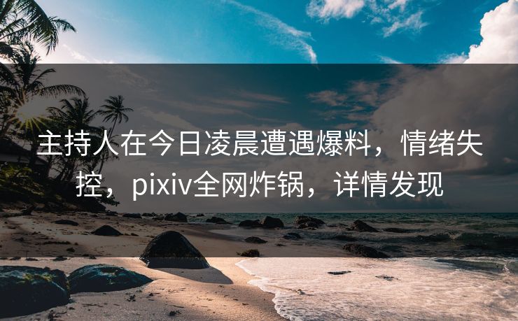 主持人在今日凌晨遭遇爆料，情绪失控，pixiv全网炸锅，详情发现